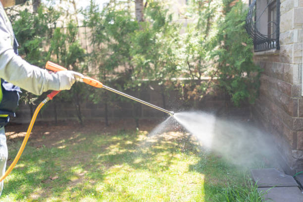 Professional Pest Control in Northumberland, PA